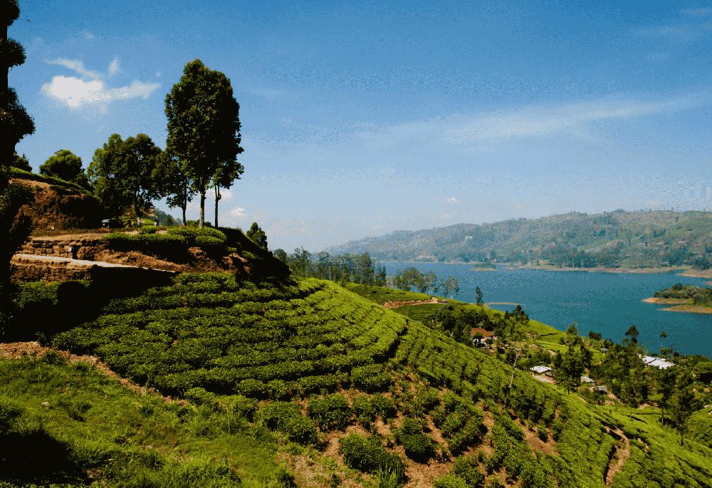 Sri Lanka