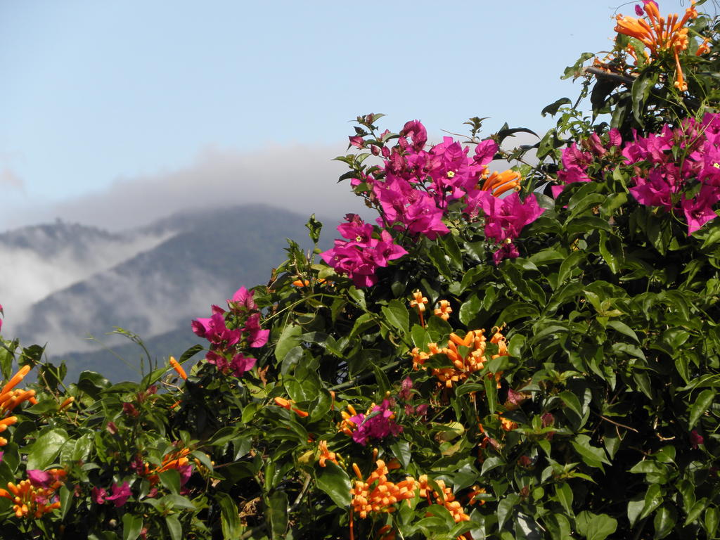 San José – Costa Rica