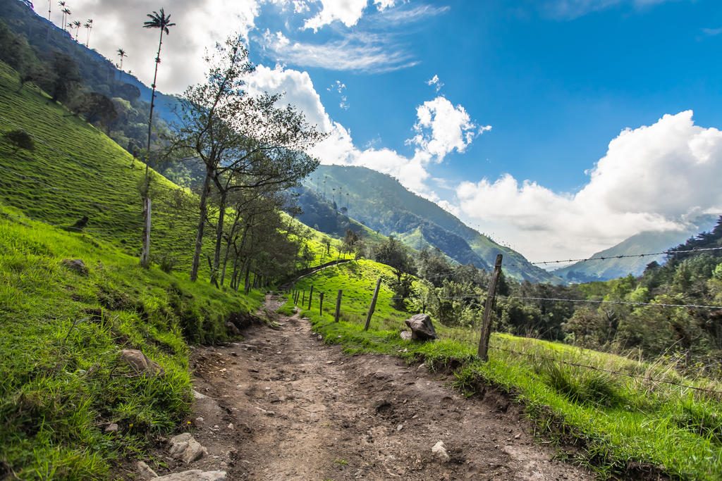 Valle del Cocora – Kolumbien