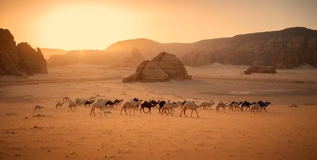 Saudi Arabien: Höhepunkte