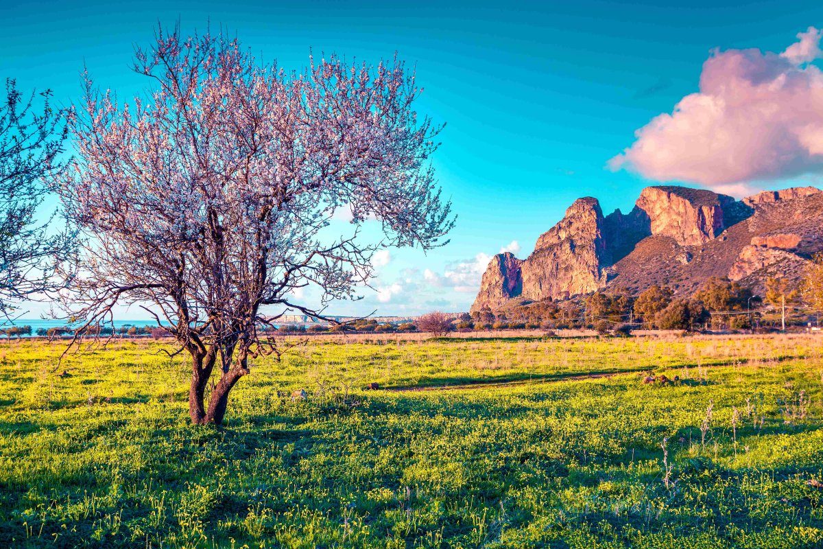 Sizilien: Impressionen zum Frühlingserwachen