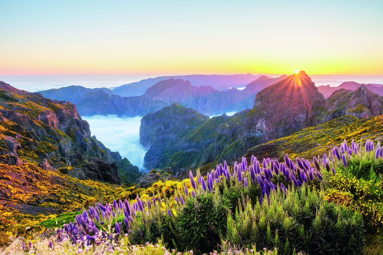 Madeira: Höhepunkte mit Flair