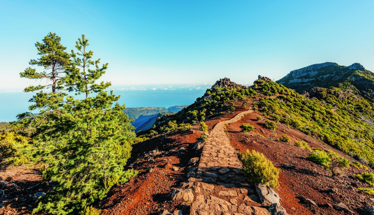 Madeira: Wandern ab Funchal