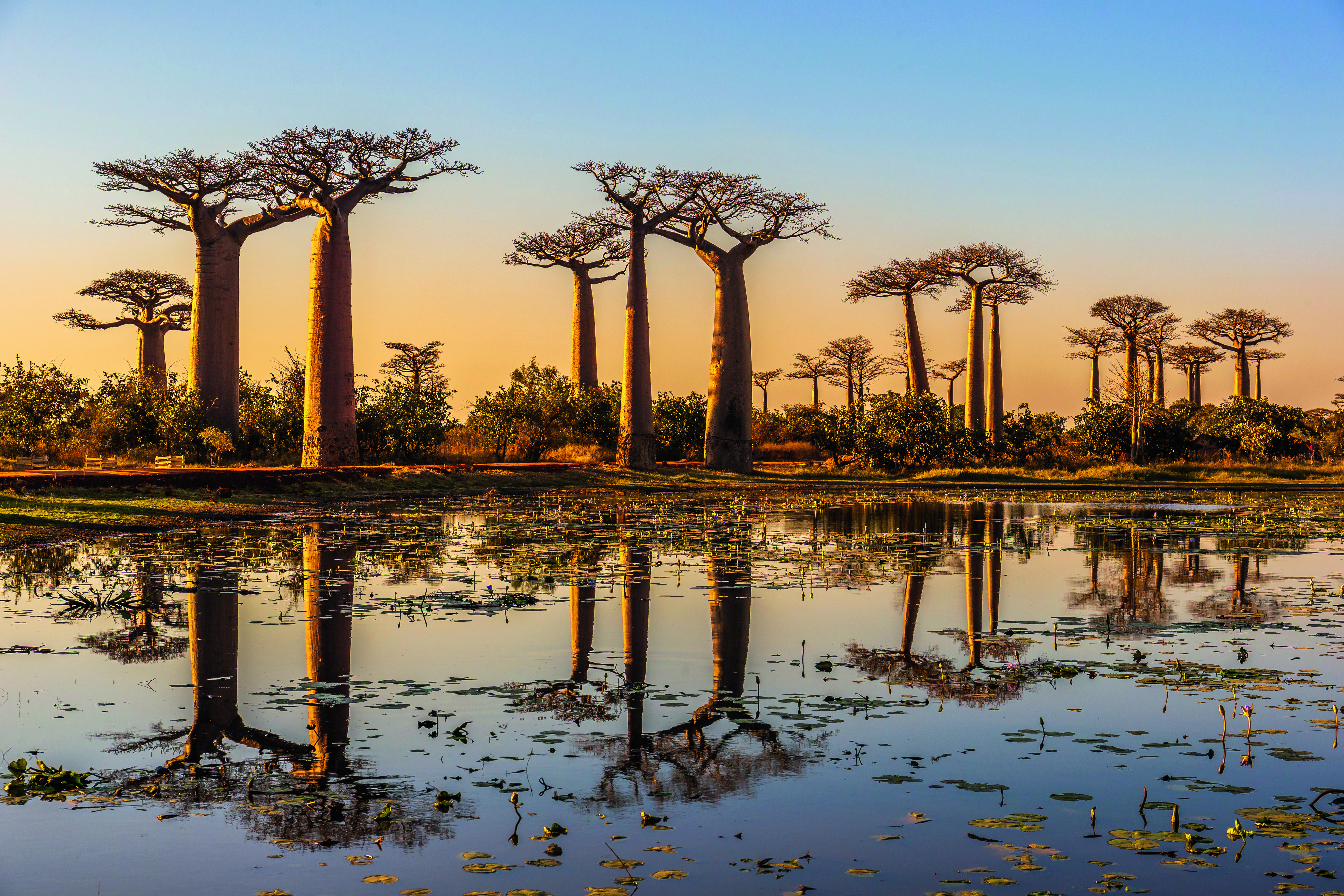 Moshi – Mkomazi-Nationalpark – Tansania: Panorama - über Lushoto bis Saadani