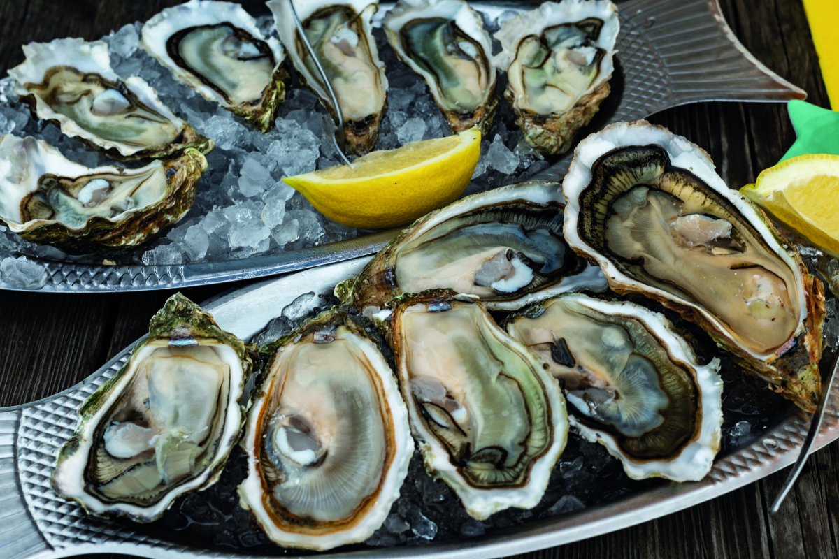 Médoc – Bordeaux & Atlantik: Genussreise durch Bordeaux – zwischen Wein und Atlantik