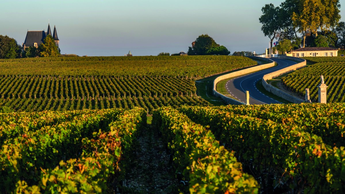 Bordeaux – Bordeaux & Atlantik: Genussreise durch Bordeaux – zwischen Wein und Atlantik
